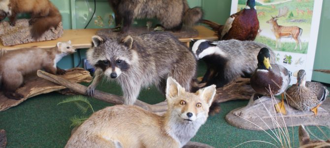 Lernort Natur besucht das Familiencafé am 21. Juni ab 15 Uhr Lernort Natur besucht das Familiencafé am 21. Juni ab 15 Uhr